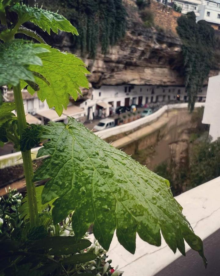 Vila Casa Bajo La Roca Setenil De Las Bodegas Exteriér fotografie